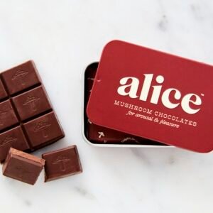 Alice Mushrooms chocolate