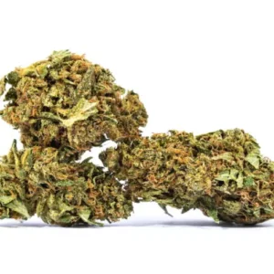 Buy Acapulco Gold strain