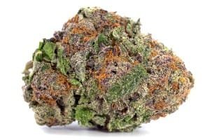 Buy Biscotti Strain Online