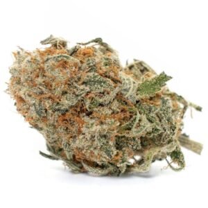 Buy Blue Cheese Strain
