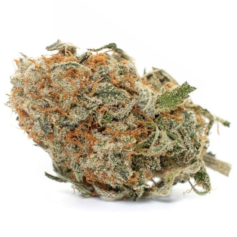 Buy-Blue-Cheese-Strain.jpeg Buy Blue Cheese Strain
