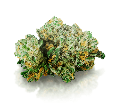 Buy-Blue-Dream-Strain.png Buy Blue Dream Strain
