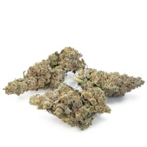 Home Buy Candyland Strain Online