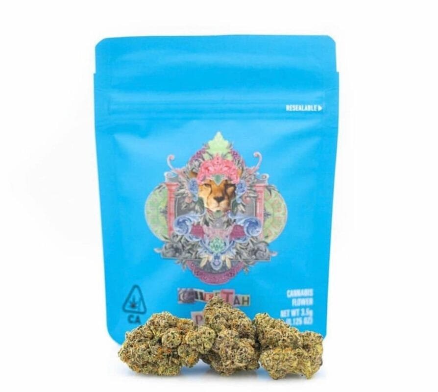 Buy-Cheetah-Piss-Cookies.jpg Cheetah Piss Cookies Strain