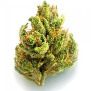 Buy Chemdawg Strain Online