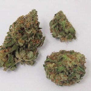 Buy Critical Mass Strain