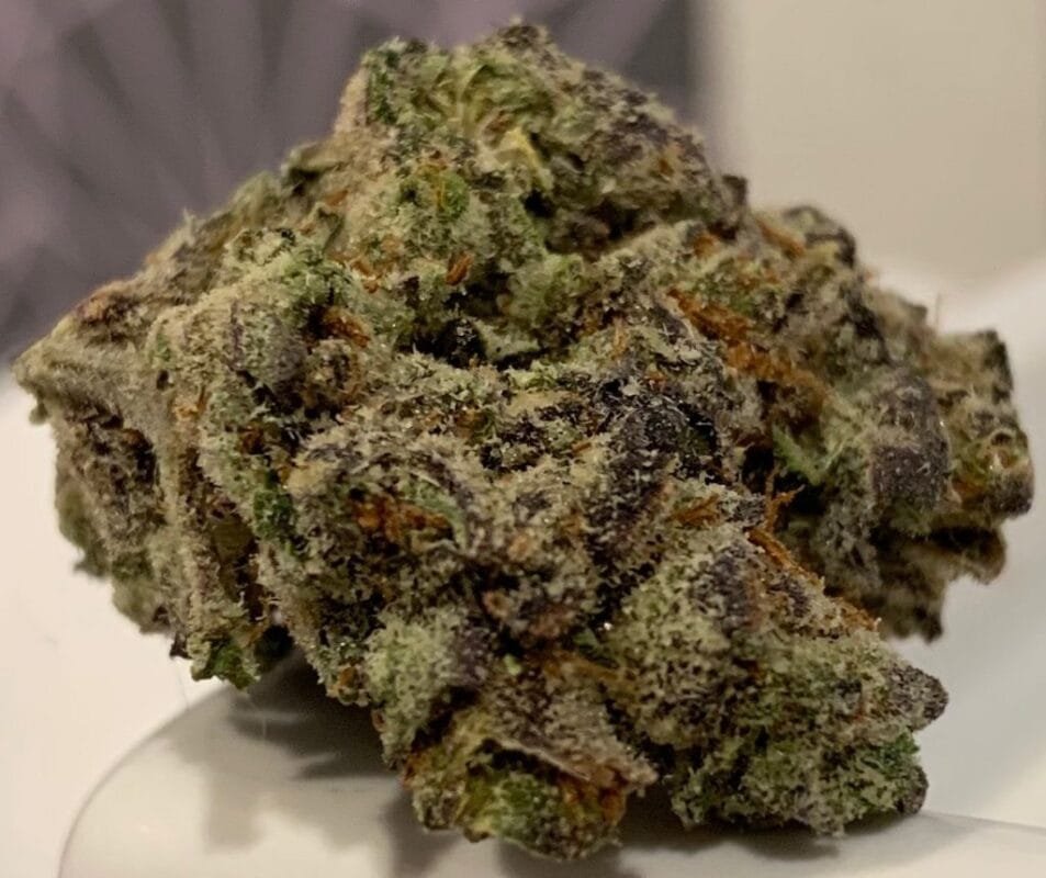 Buy-Dragon-OG-Strain-1.jpg Buy Dragon OG Strain