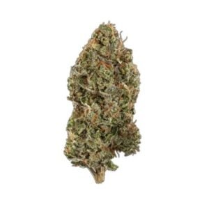 Buy Gushers Strain Online