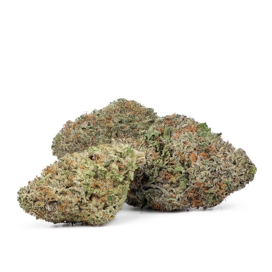 Buy-Jack-Herer-strain.jpg Buy Jack Herer strain