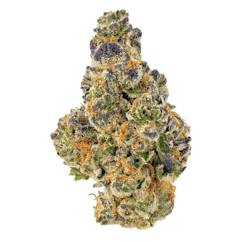 Buy-Kush-Mints-Strain.png Buy Kush Mints Strain