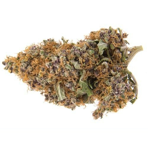 Buy-Purple-Haze-Online.jpeg Buy Purple Haze Online