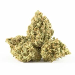 Buy Silver Haze Strain