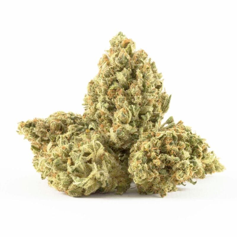 Buy-Silver-Haze-Strain.jpeg Buy Silver Haze Strain