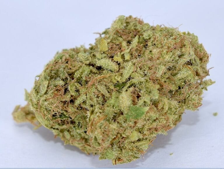 Buy-THC-Bomb-Strain.jpg Buy THC Bomb Strain