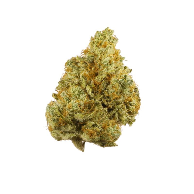Buy-Tangie-strain-Online.jpg Buy Tangie strain Online