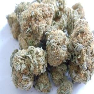 Buy White Rhino Strain