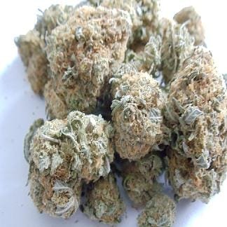 Buy-White-Rhino-Strain.jpg Buy White Rhino Strain